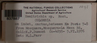 Image Associated With the Occurence